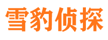 海晏外遇出轨调查取证